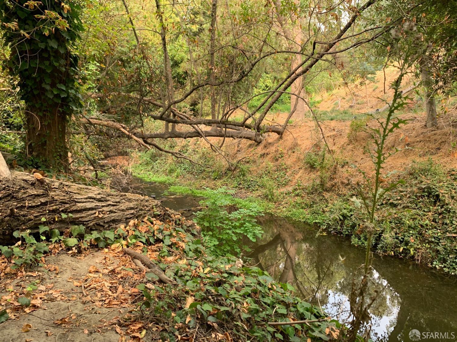 Detail Gallery Image 11 of 24 For 4265 San Pablo Dam Rd, El Sobrante,  CA 94803 - – Beds | – Baths