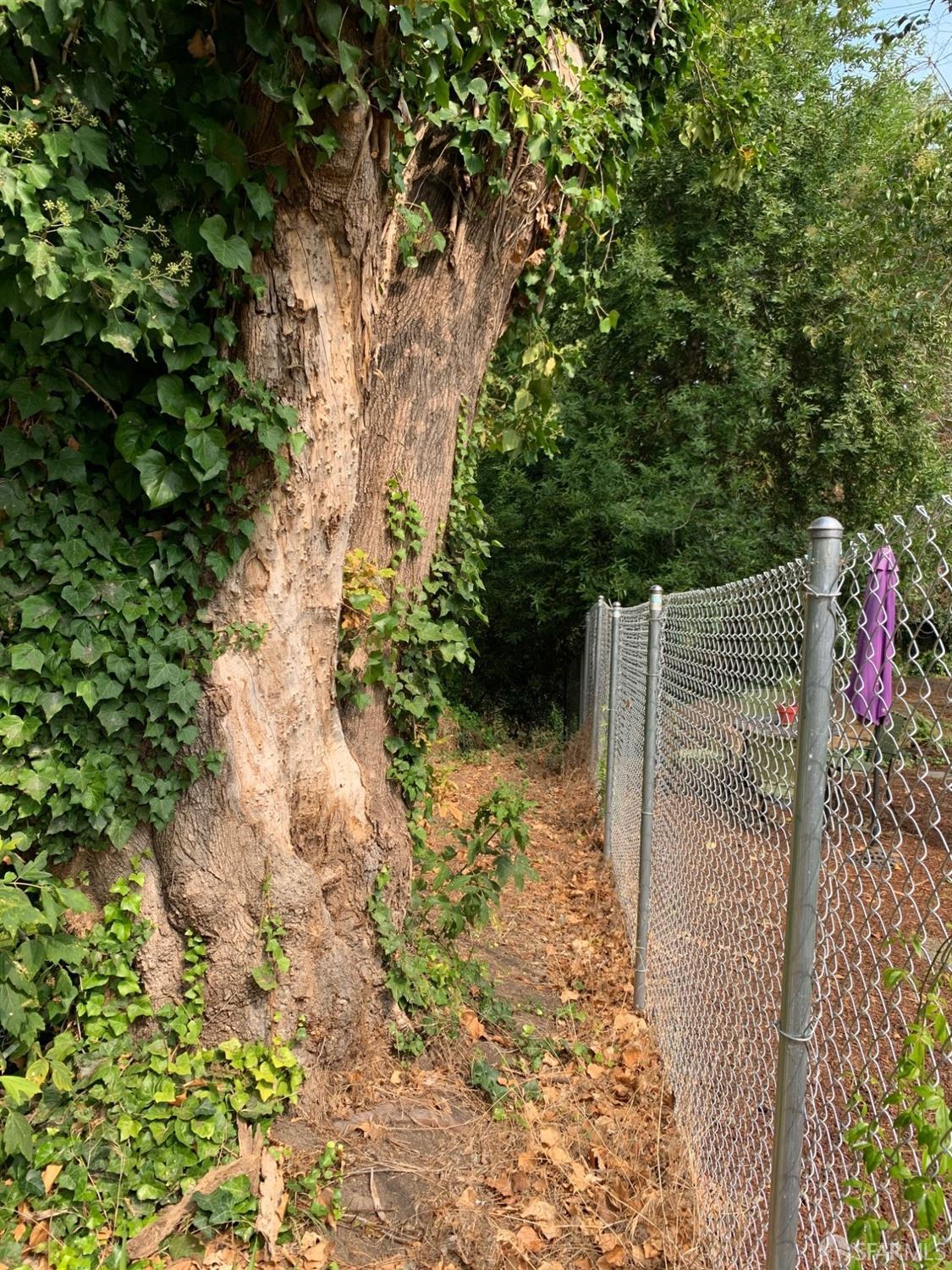 Detail Gallery Image 12 of 24 For 4265 San Pablo Dam Rd, El Sobrante,  CA 94803 - – Beds | – Baths