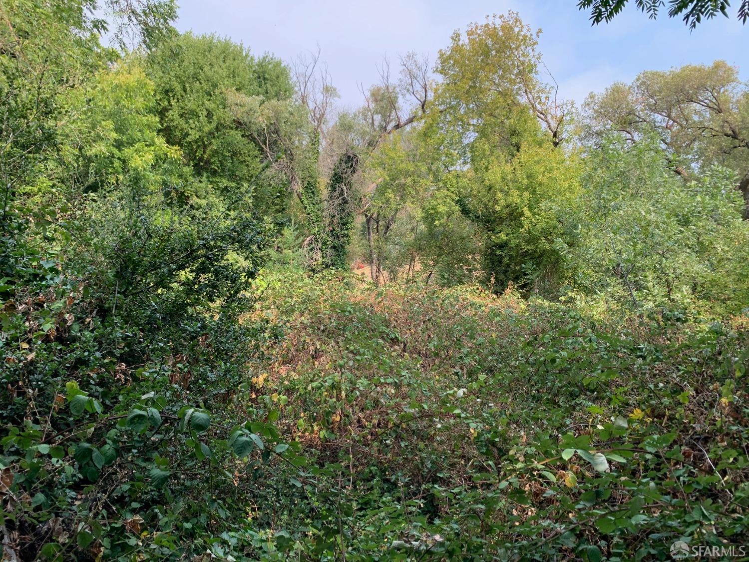 Detail Gallery Image 13 of 24 For 4265 San Pablo Dam Rd, El Sobrante,  CA 94803 - – Beds | – Baths