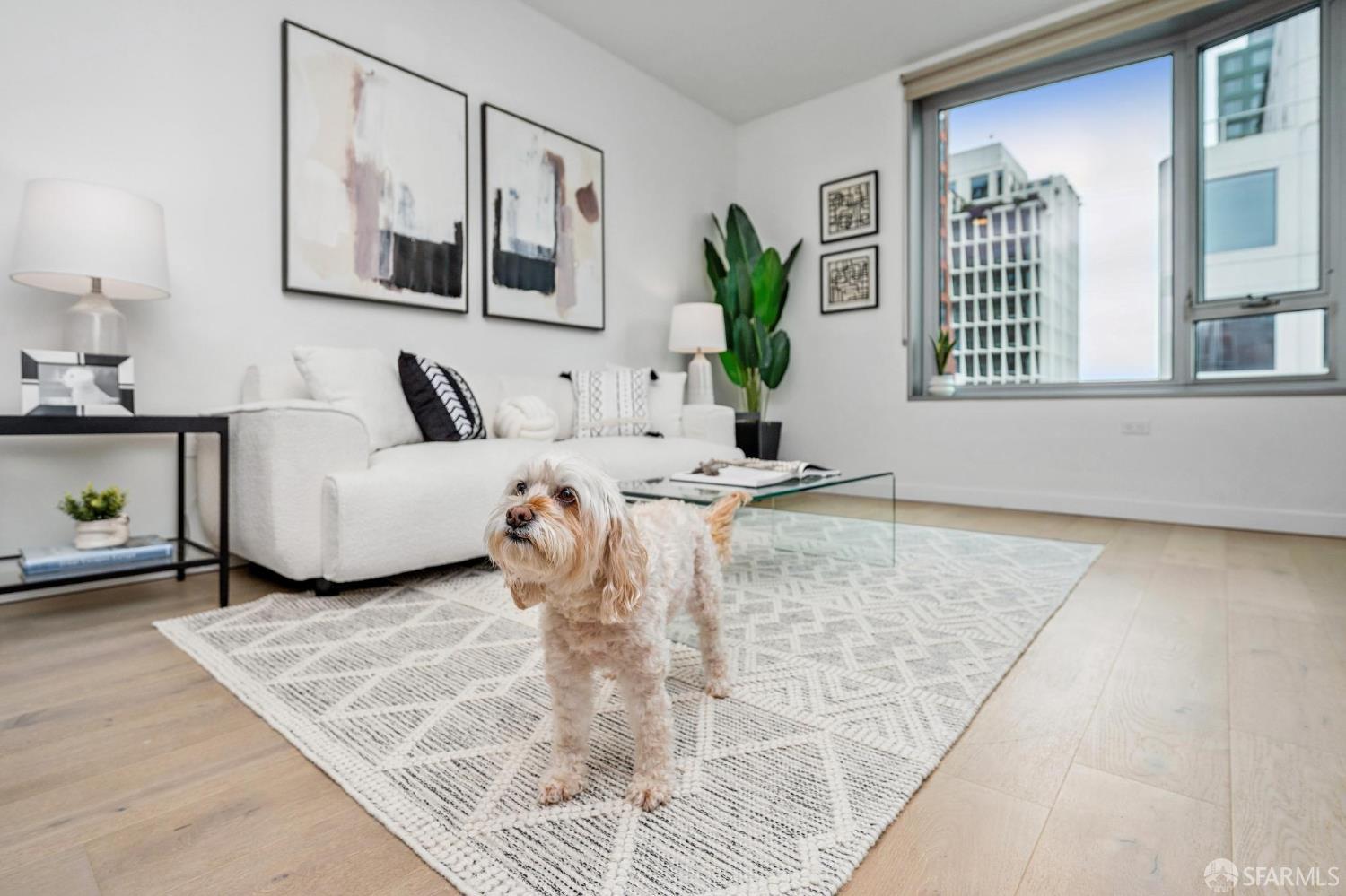 Detail Gallery Image 16 of 66 For 1000 3rd St #720,  San Francisco,  CA 94158 - 1 Beds | 1 Baths