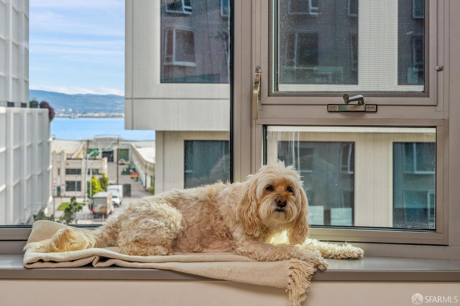 Detail Gallery Image 41 of 66 For 1000 3rd St #720,  San Francisco,  CA 94158 - 1 Beds | 1 Baths