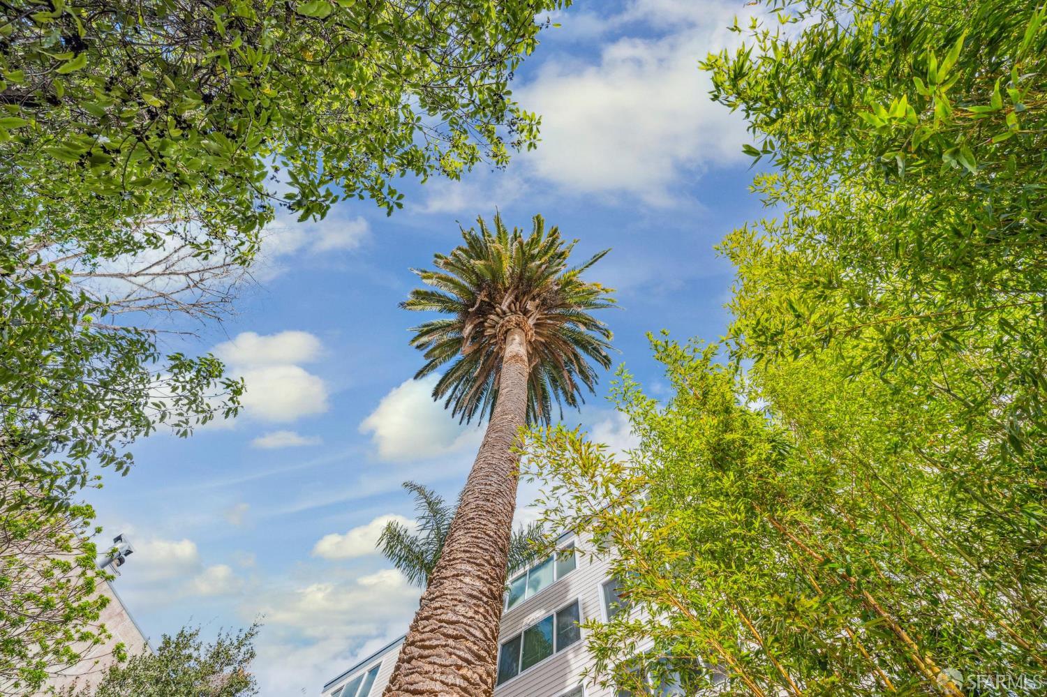 Detail Gallery Image 56 of 61 For 4040 17th St, San Francisco,  CA 94114 - 5 Beds | 2 Baths