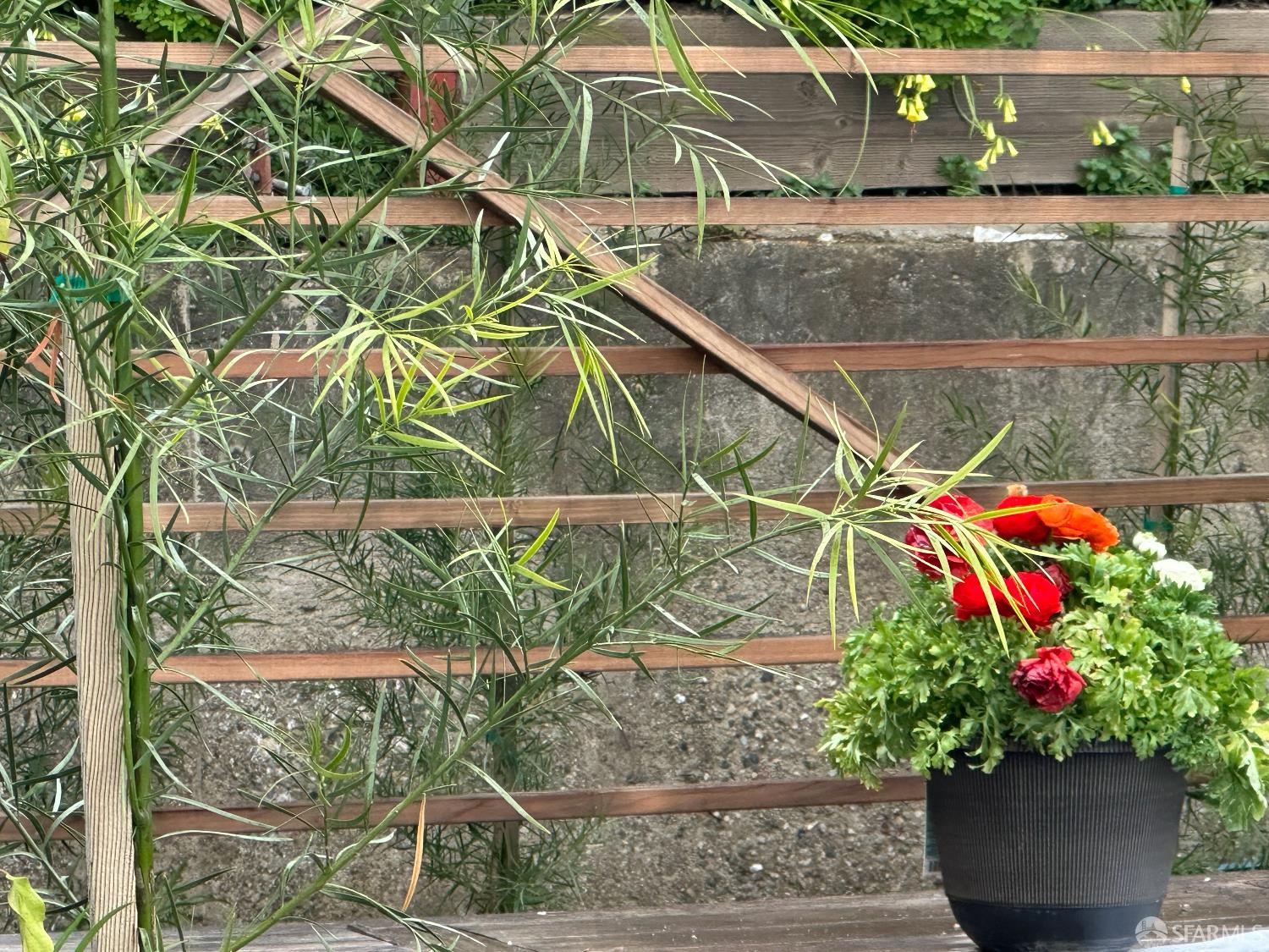 Detail Gallery Image 50 of 57 For 480 Monterey St, Brisbane,  CA 94005 - 3 Beds | 2 Baths