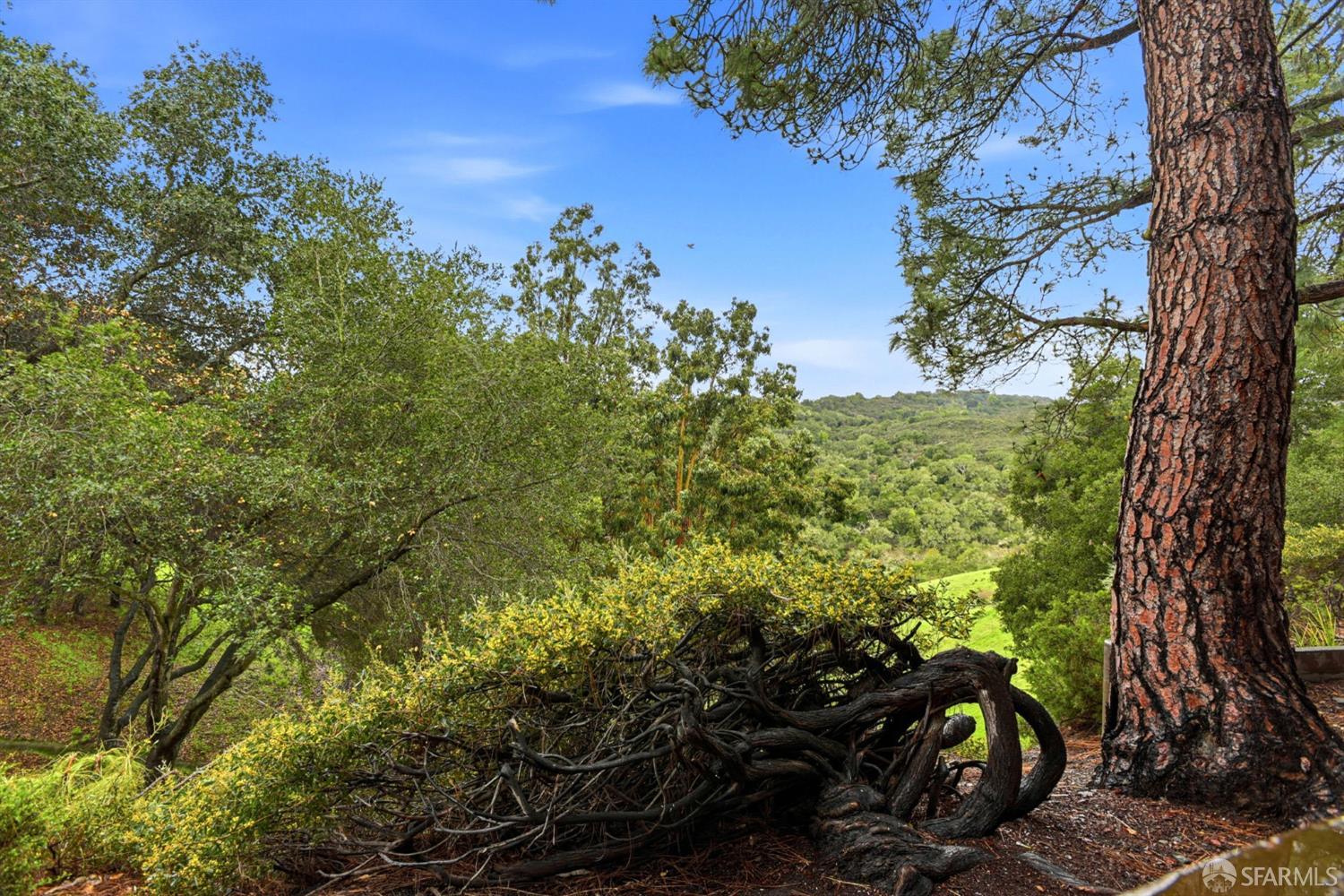 Detail Gallery Image 8 of 44 For 3355 Brittan Ave #4,  San Carlos,  CA 94070 - 2 Beds | 2 Baths