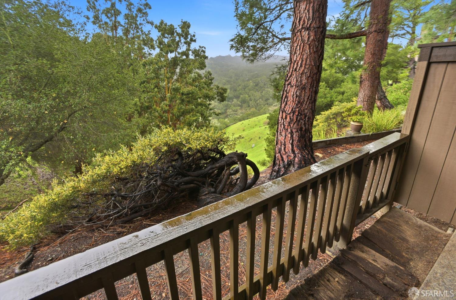 Detail Gallery Image 33 of 44 For 3355 Brittan Ave #4,  San Carlos,  CA 94070 - 2 Beds | 2 Baths