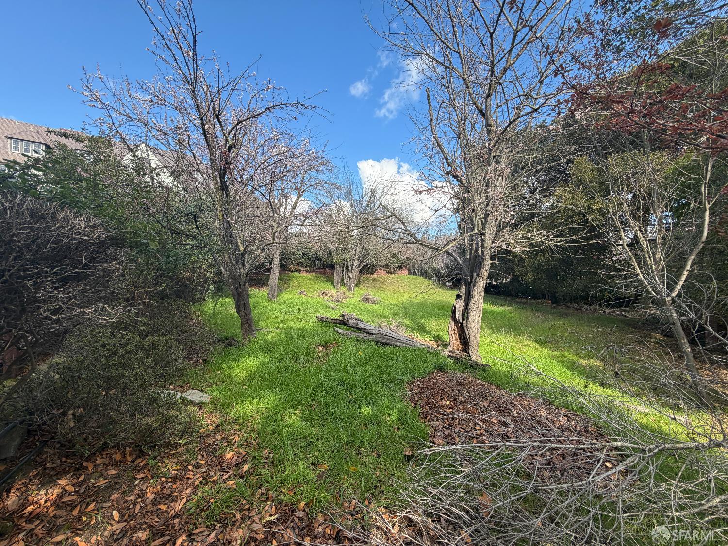 Detail Gallery Image 68 of 71 For 236 King Ave #C,  Piedmont,  CA 94610 - 3 Beds | 2/1 Baths