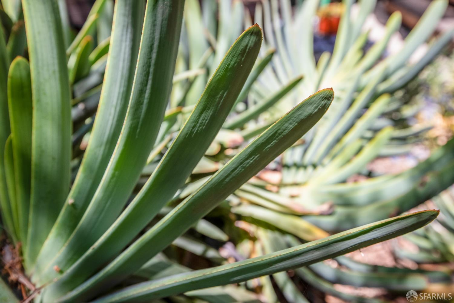 Detail Gallery Image 47 of 83 For 1145 Green St #2,  San Francisco,  CA 94109 - 1 Beds | 1 Baths