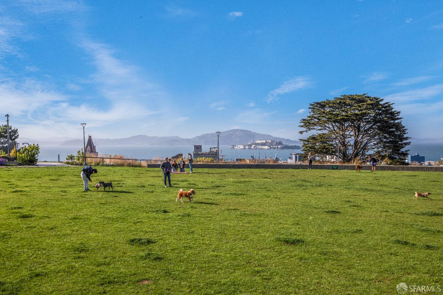 Detail Gallery Image 66 of 83 For 1145 Green St #2,  San Francisco,  CA 94109 - 1 Beds | 1 Baths