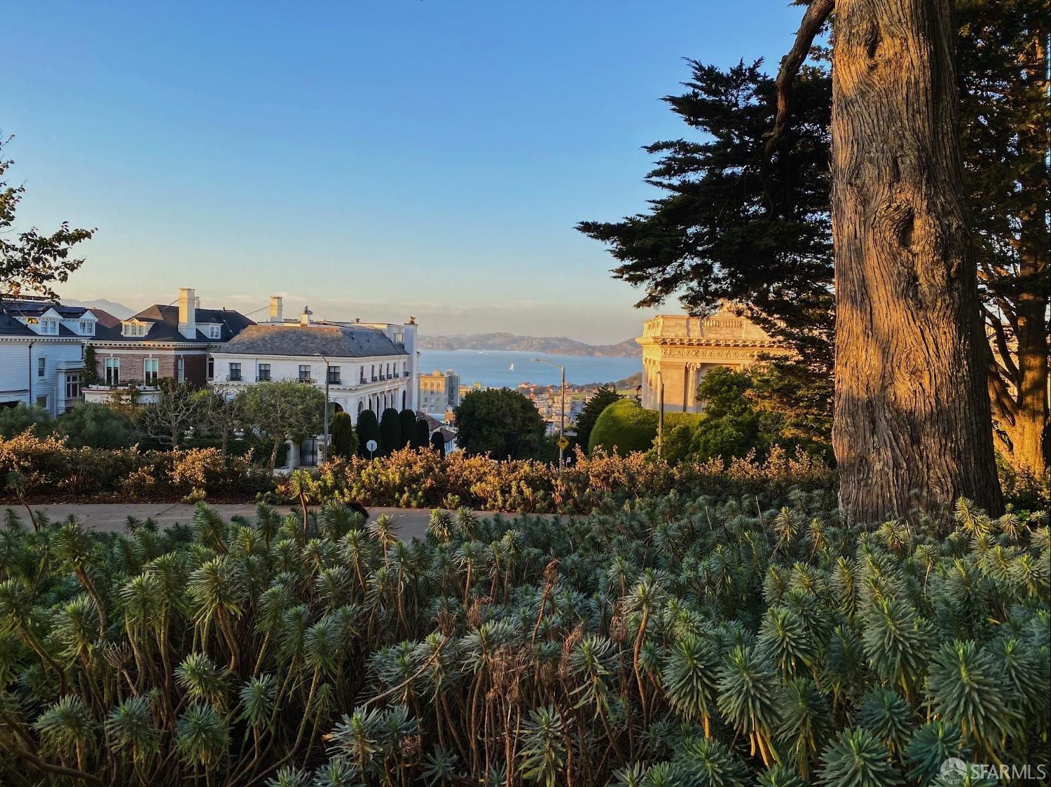 Detail Gallery Image 74 of 83 For 1145 Green St #2,  San Francisco,  CA 94109 - 1 Beds | 1 Baths