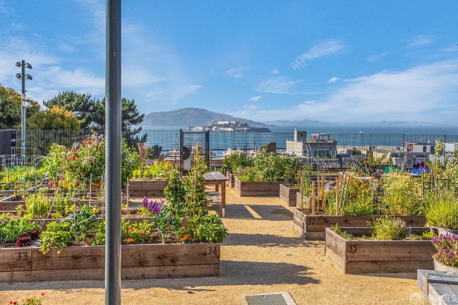 Detail Gallery Image 67 of 83 For 1145 Green St #2,  San Francisco,  CA 94109 - 1 Beds | 1 Baths