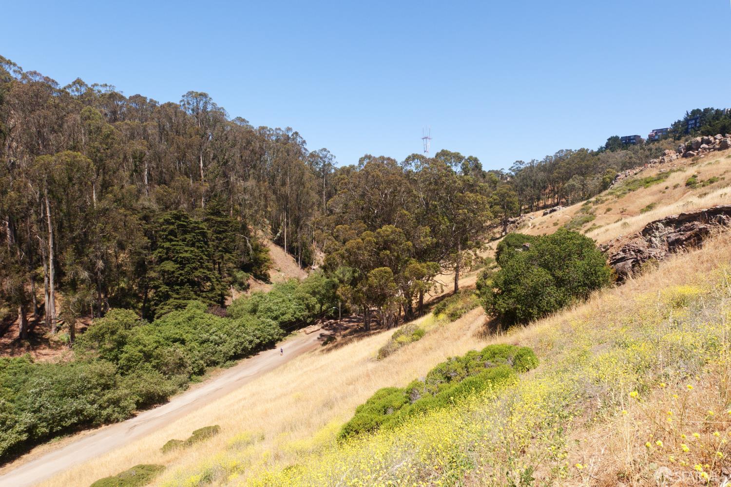 Detail Gallery Image 71 of 86 For 100 Encline Ct, San Francisco,  CA 94127 - 3 Beds | 2 Baths