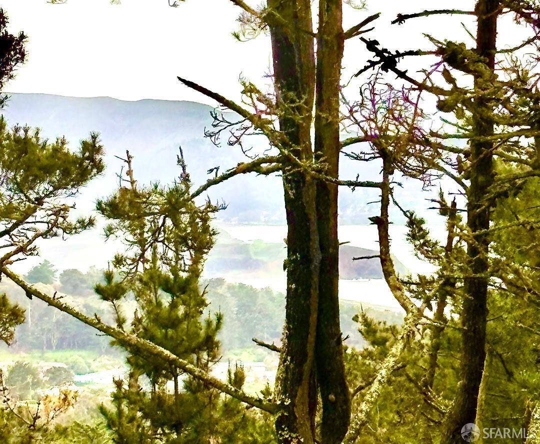 Detail Gallery Image 43 of 43 For 635 Parkview Cir, Pacifica,  CA 94044 - 4 Beds | 2 Baths