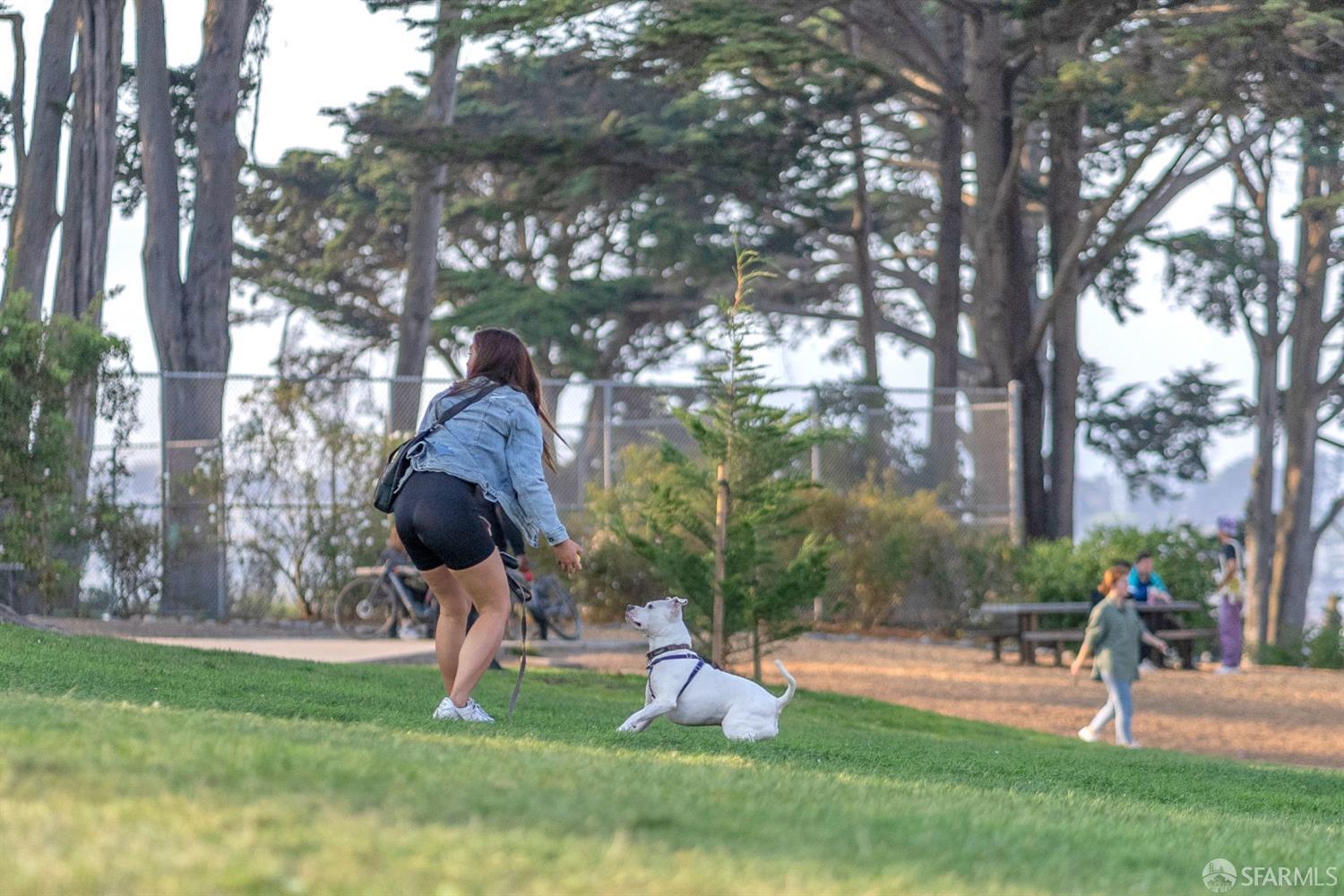 Detail Gallery Image 21 of 23 For 425 Linden St, San Francisco,  CA 94102 - – Beds | – Baths