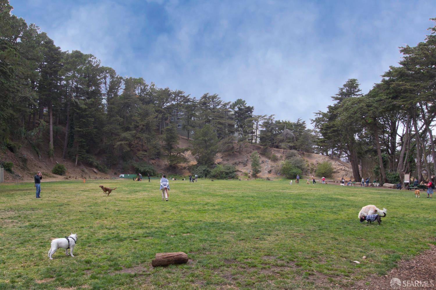 Detail Gallery Image 54 of 89 For 106 Valley St, San Francisco,  CA 94131 - 1 Beds | 1 Baths