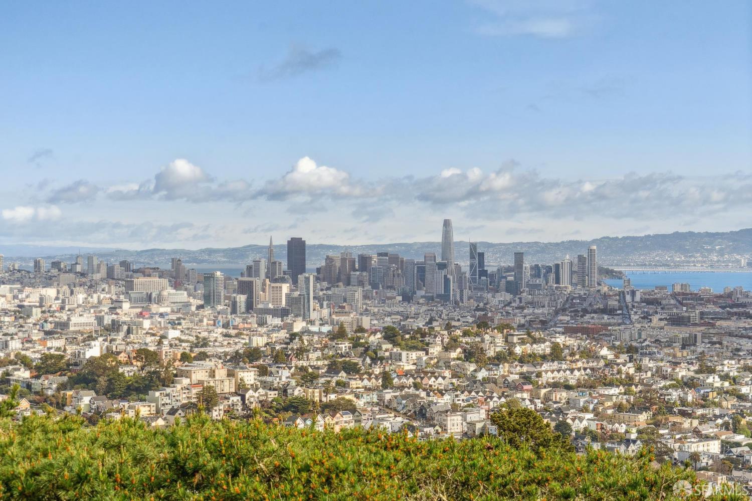 Detail Gallery Image 28 of 31 For 15 Red Rock Way 202n,  San Francisco,  CA 94109 - 1 Beds | 1 Baths