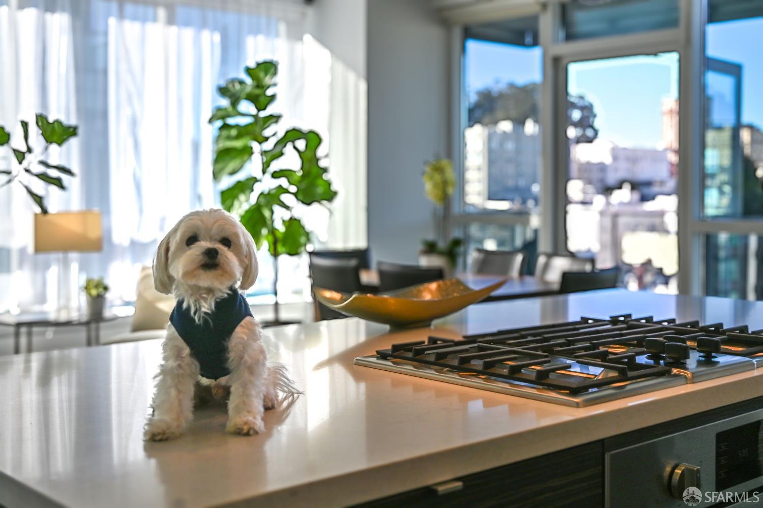 1688 Pine Street # E1211