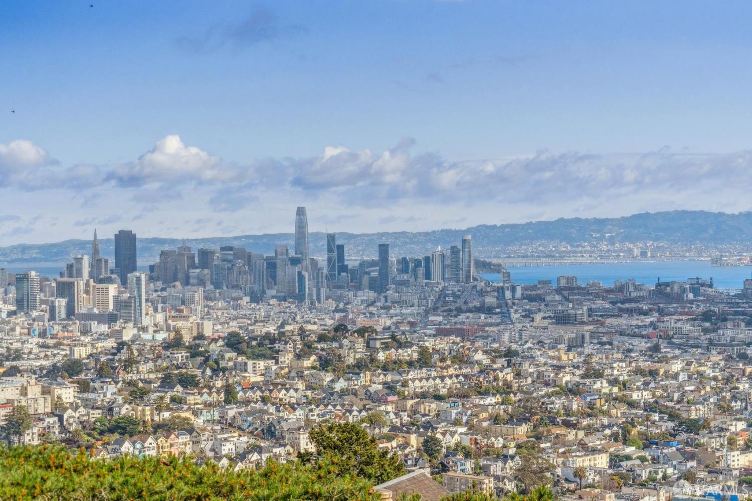 Detail Gallery Image 2 of 31 For 15 Red Rock Way 202n,  San Francisco,  CA 94109 - 1 Beds | 1 Baths