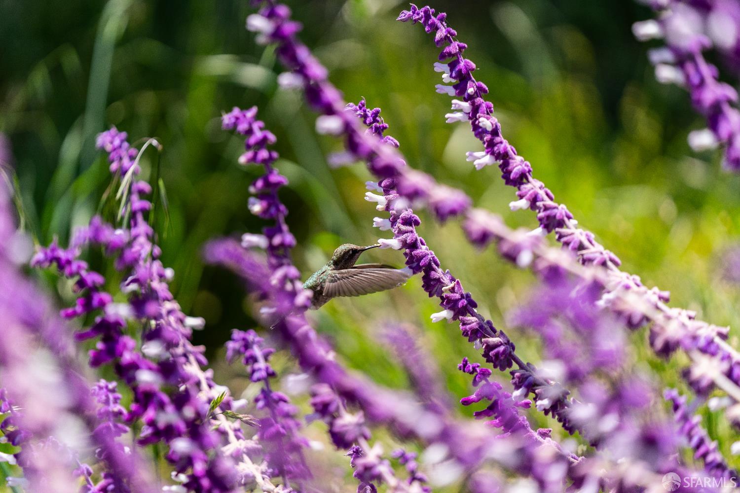 Detail Gallery Image 36 of 36 For 52 Sw Kirkwood Ave #414,  San Francisco,  CA 94124 - 1 Beds | 1 Baths