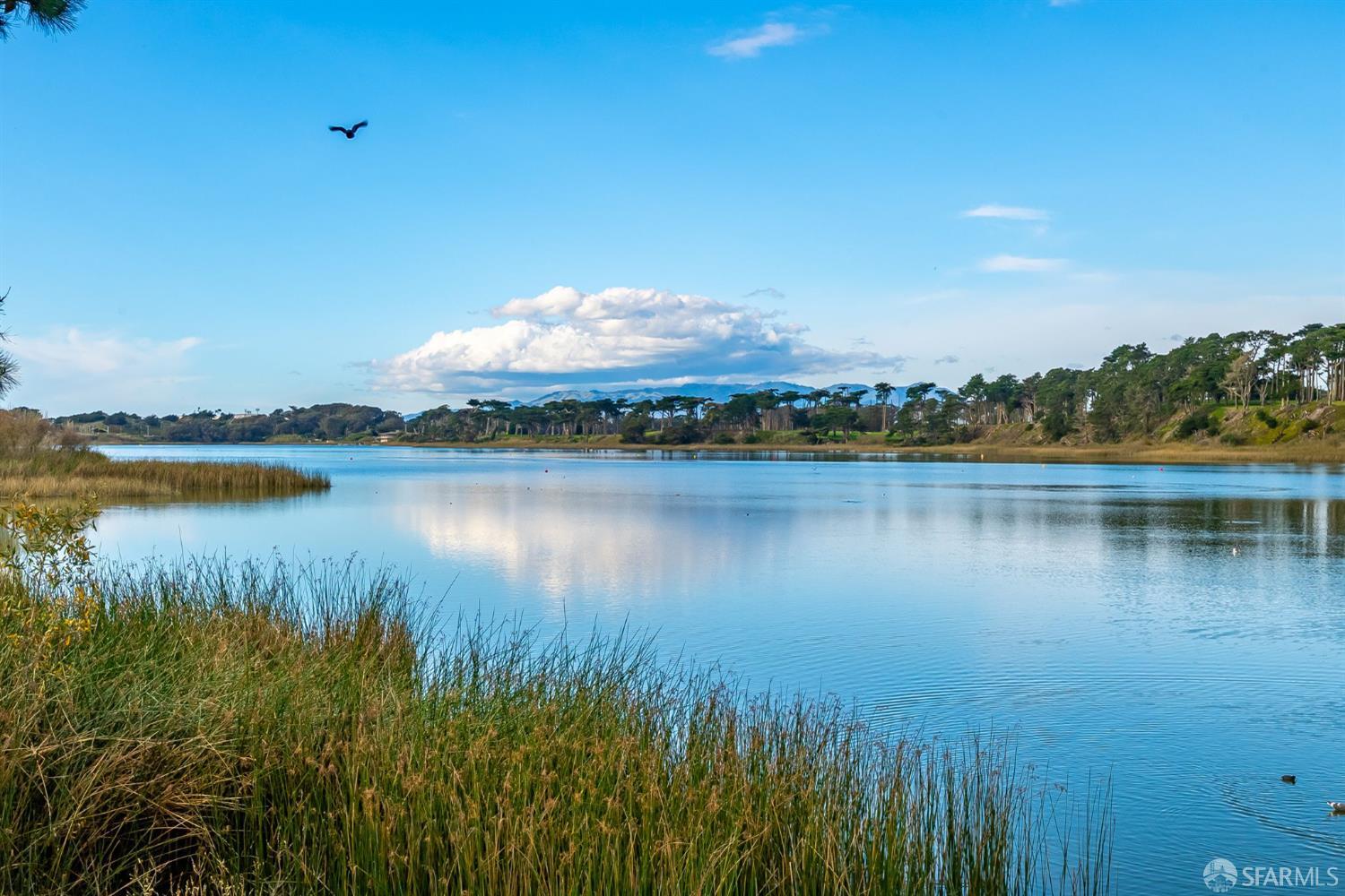Detail Gallery Image 35 of 40 For 98 Lake Forest Dr, Daly City,  CA 94015 - 3 Beds | 2 Baths