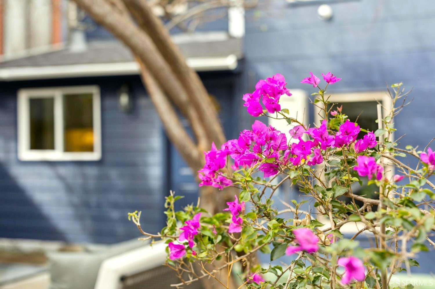 Detail Gallery Image 43 of 83 For 3369 Cesar Chavez St, San Francisco,  CA 94110 - 4 Beds | 4 Baths