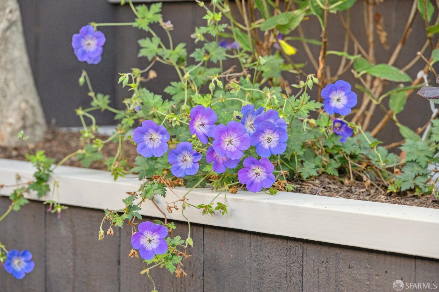 Detail Gallery Image 37 of 49 For 4149 26th St, San Francisco,  CA 95131 - 3 Beds | 3 Baths