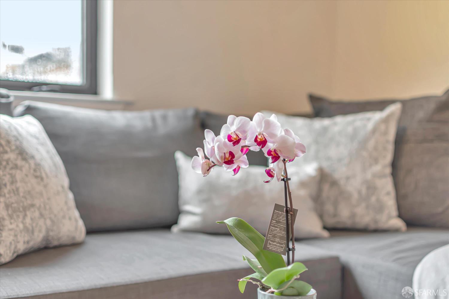 226 27th UNIT 10, San Francisco, CA, 94114