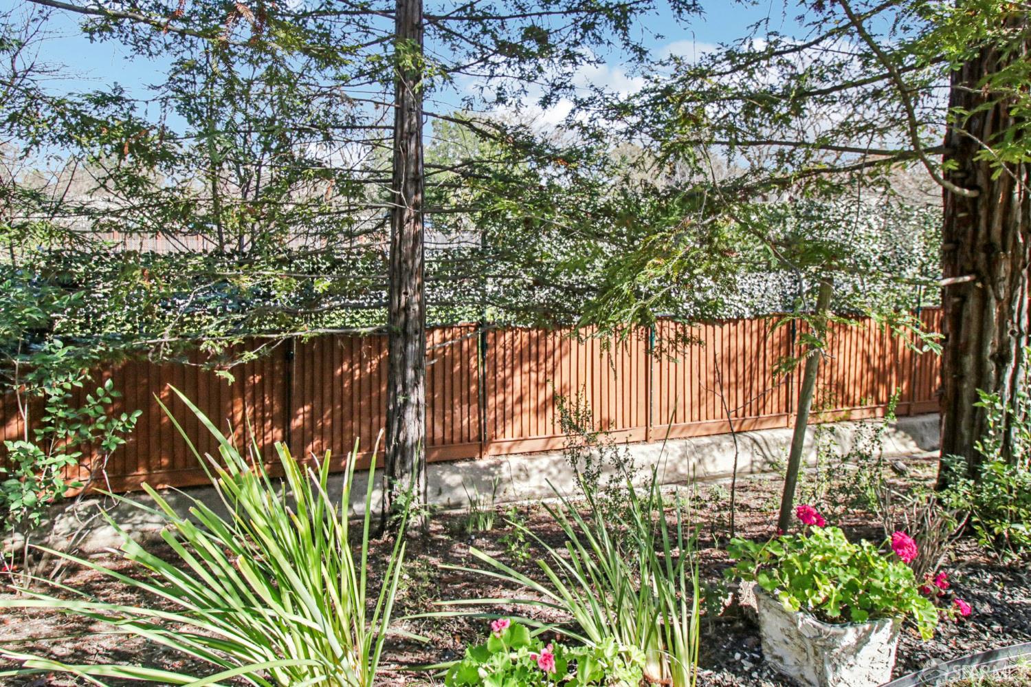 Detail Gallery Image 35 of 44 For 1124 Andrew Ln, Walnut Creek,  CA 94597 - 4 Beds | 3 Baths