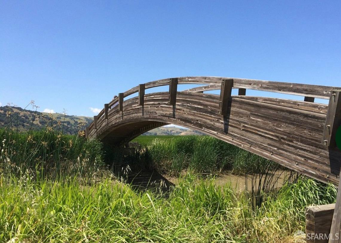 Detail Gallery Image 53 of 69 For 5262 Alhambra Valley Rd, Martinez,  CA 94553 - 5 Beds | 3/1 Baths