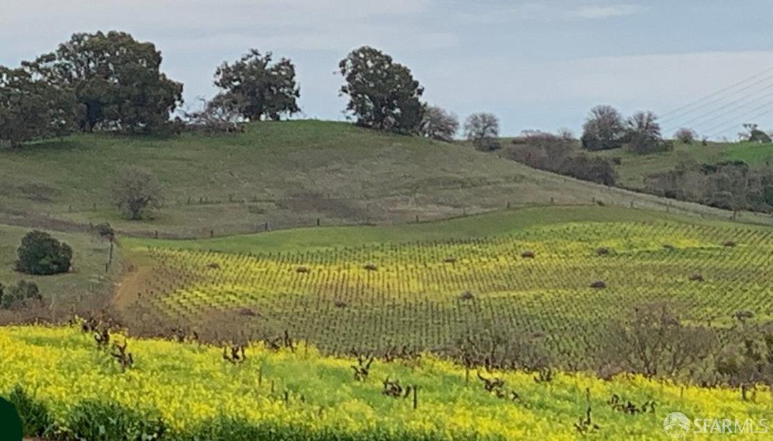 Detail Gallery Image 54 of 69 For 5262 Alhambra Valley Rd, Martinez,  CA 94553 - 5 Beds | 3/1 Baths