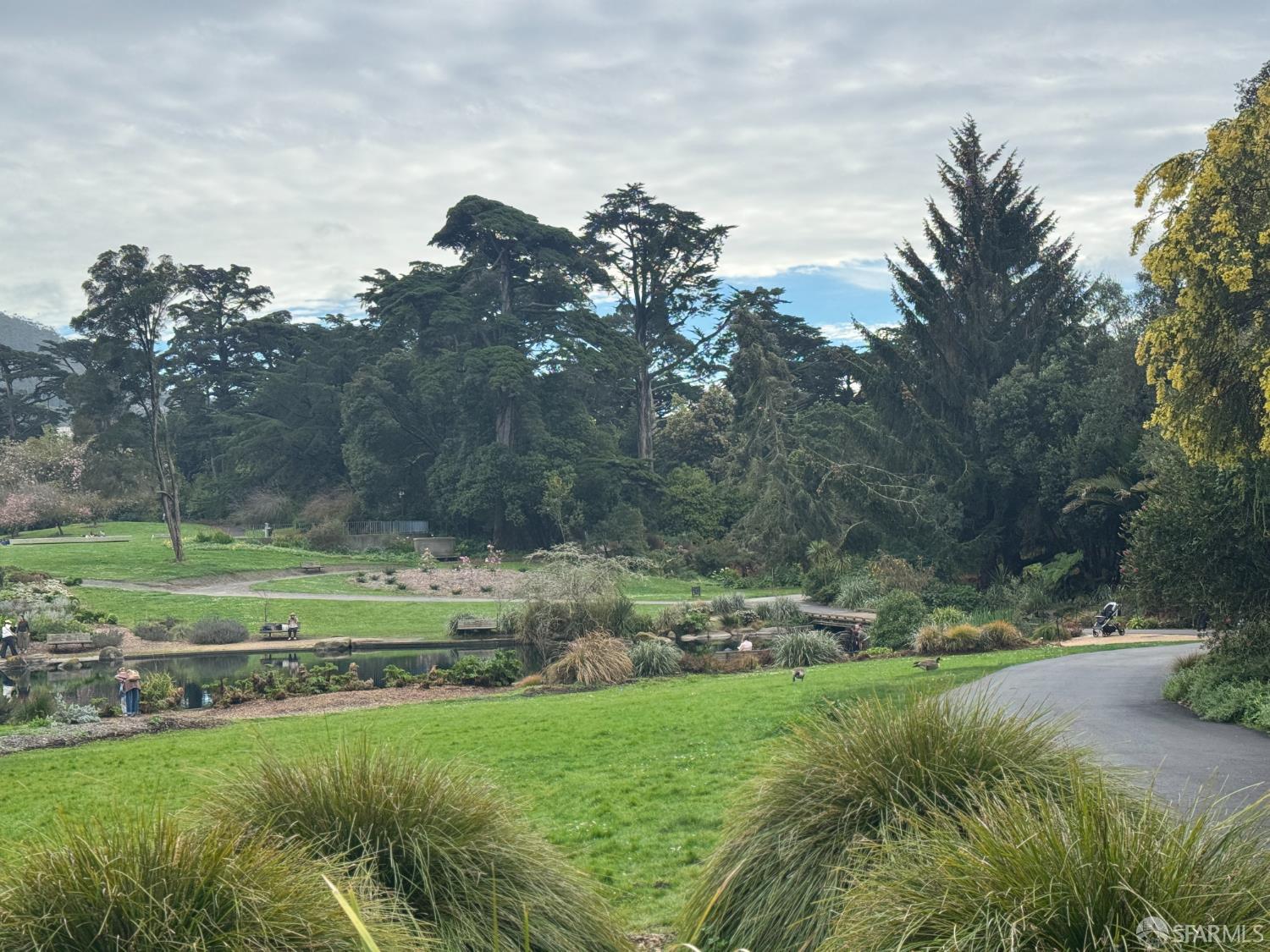 Detail Gallery Image 45 of 57 For 1482 18th Ave, San Francisco,  CA 94122 - 2 Beds | 1 Baths