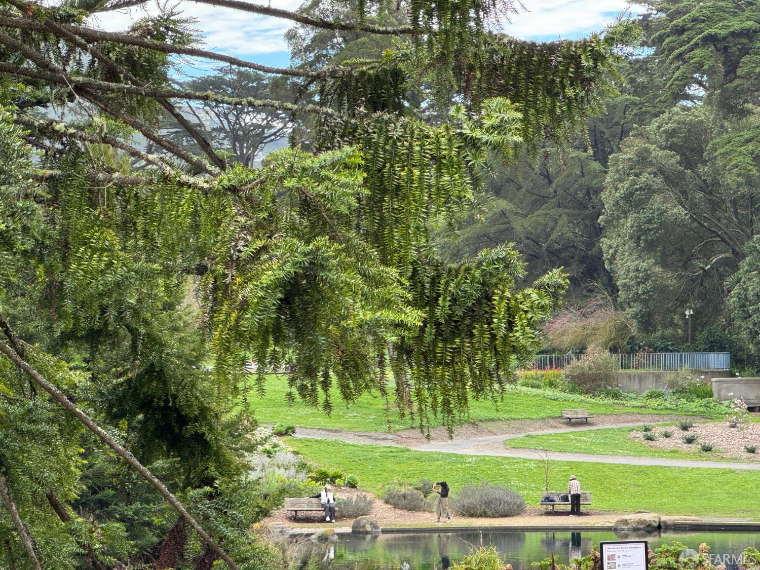 Detail Gallery Image 41 of 43 For 1484 18th Ave, San Francisco,  CA 94127 - 2 Beds | 1 Baths