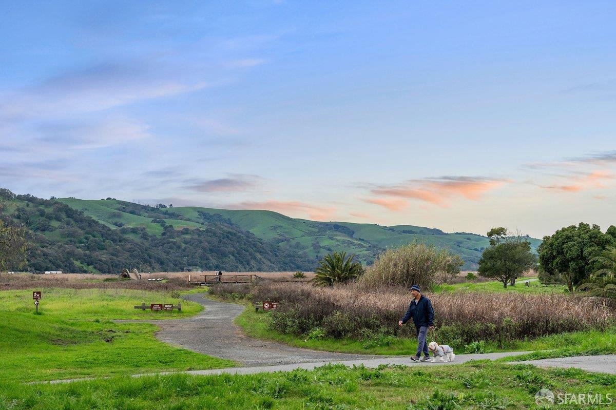 Detail Gallery Image 68 of 69 For 5262 Alhambra Valley Rd, Martinez,  CA 94553 - 5 Beds | 3/1 Baths