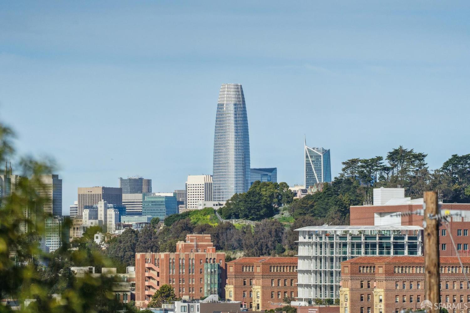 Detail Gallery Image 21 of 81 For 250 Peralta Ave, San Francisco,  CA 94110 - 4 Beds | 3 Baths