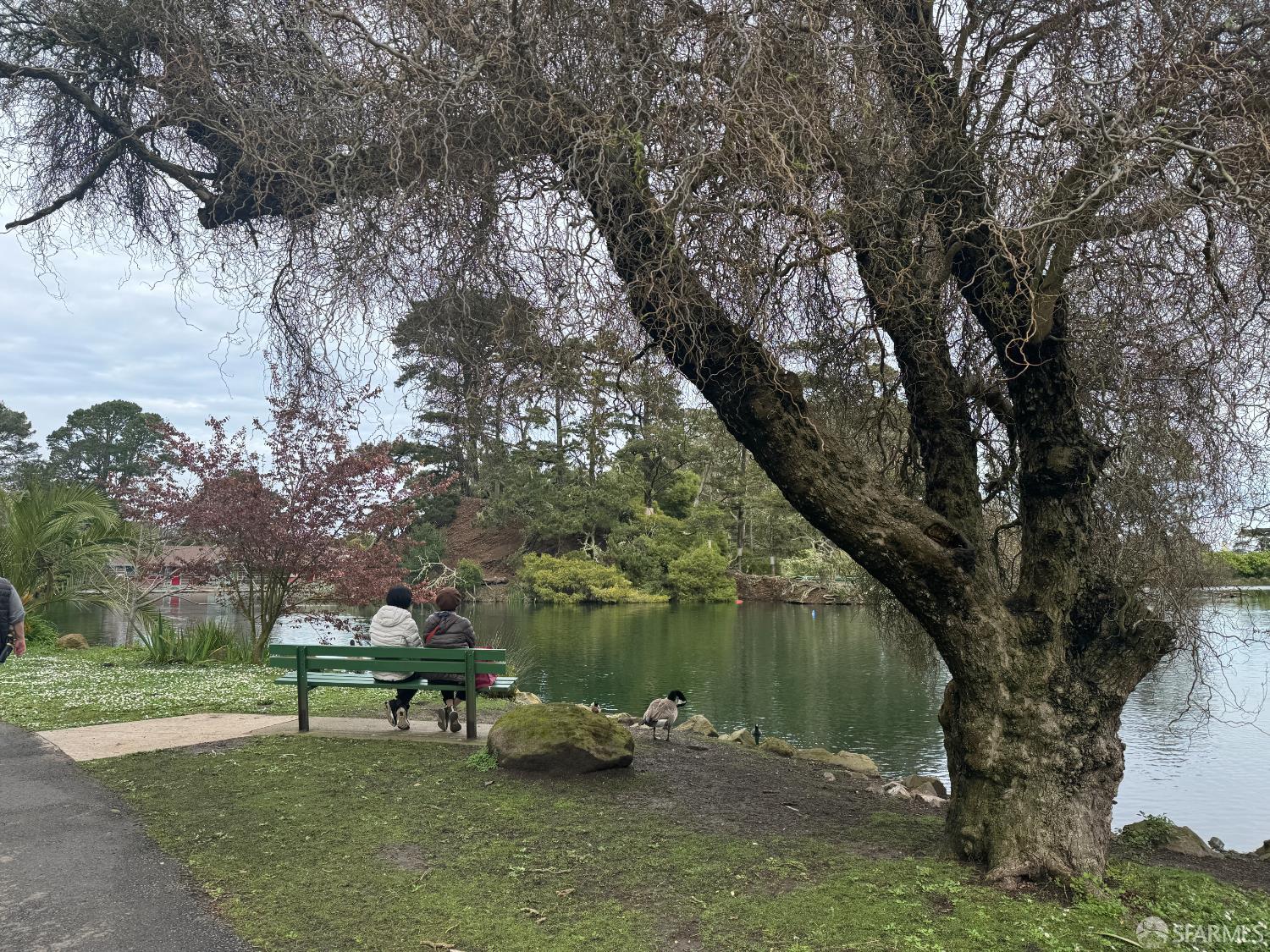 Detail Gallery Image 77 of 78 For 1482 18th Ave, San Francisco,  CA 94122 - – Beds | – Baths