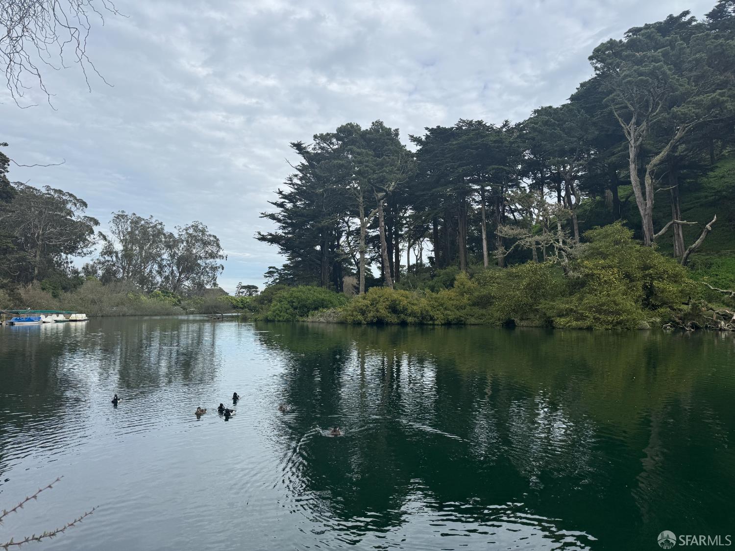 Detail Gallery Image 54 of 57 For 1482 18th Ave, San Francisco,  CA 94122 - 2 Beds | 1 Baths