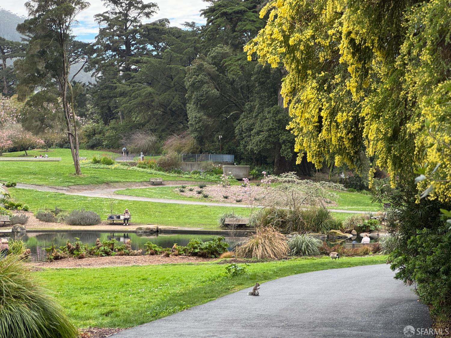 Detail Gallery Image 49 of 57 For 1482 18th Ave, San Francisco,  CA 94122 - 2 Beds | 1 Baths