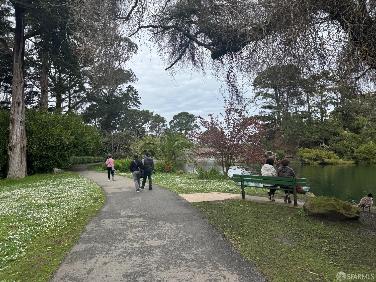 Detail Gallery Image 76 of 78 For 1482 18th Ave, San Francisco,  CA 94122 - – Beds | – Baths