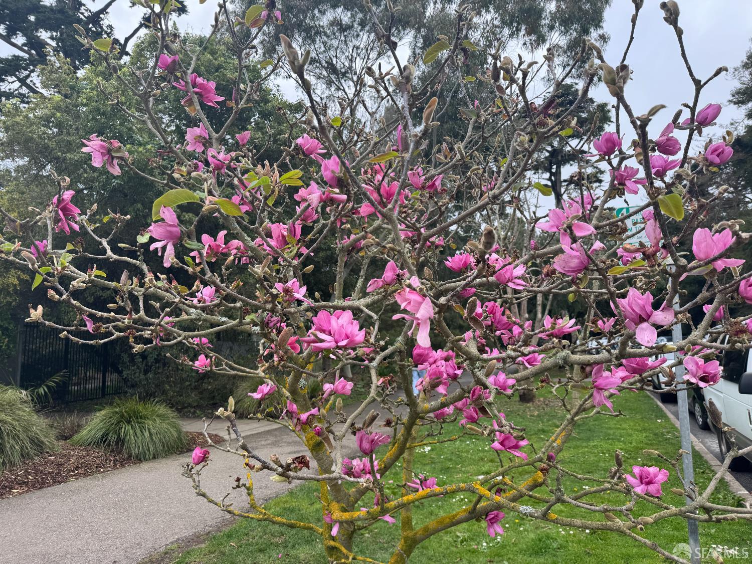 Detail Gallery Image 51 of 57 For 1482 18th Ave, San Francisco,  CA 94122 - 2 Beds | 1 Baths