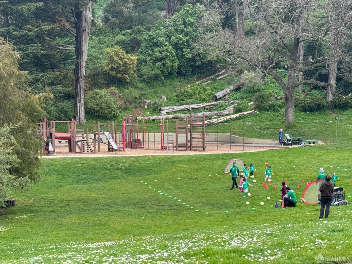 Detail Gallery Image 47 of 57 For 1482 18th Ave, San Francisco,  CA 94122 - 2 Beds | 1 Baths