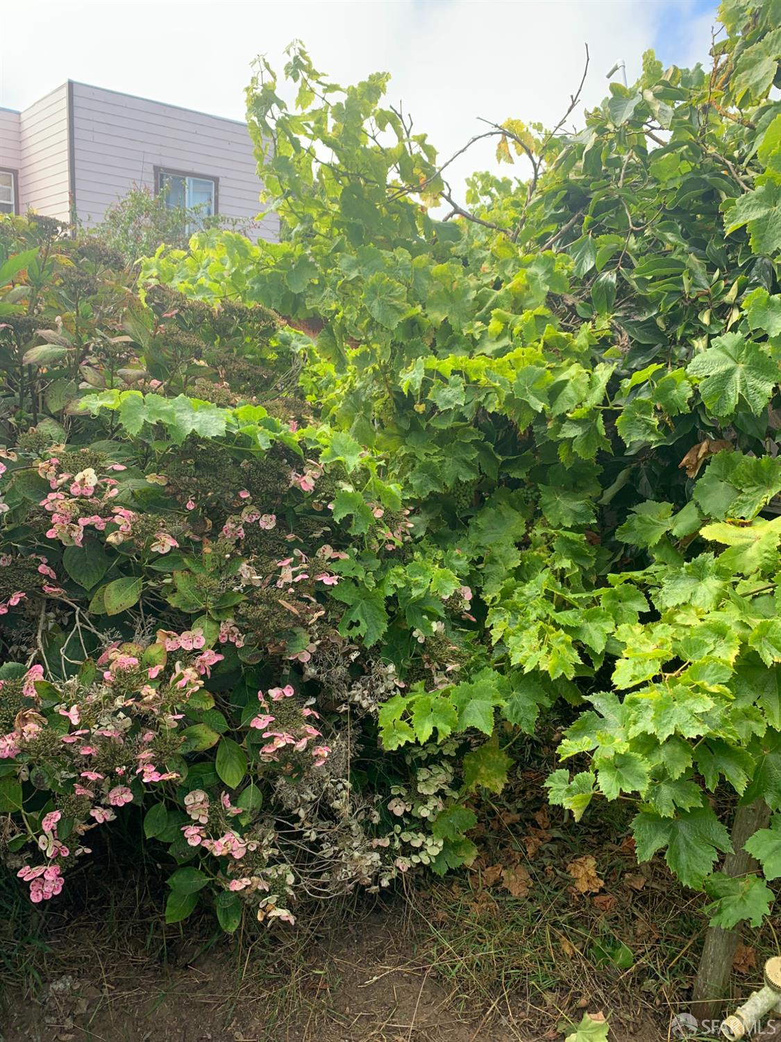 Detail Gallery Image 12 of 14 For 271 Granada Ave, San Francisco,  CA 94112 - 1 Beds | 1 Baths