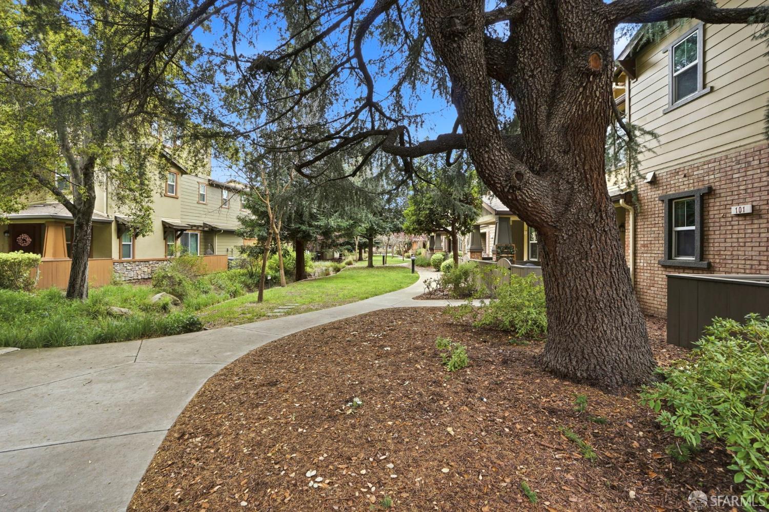 Detail Gallery Image 55 of 59 For 2541 Oak Rd, Walnut Creek,  CA 94597 - 4 Beds | 3/1 Baths