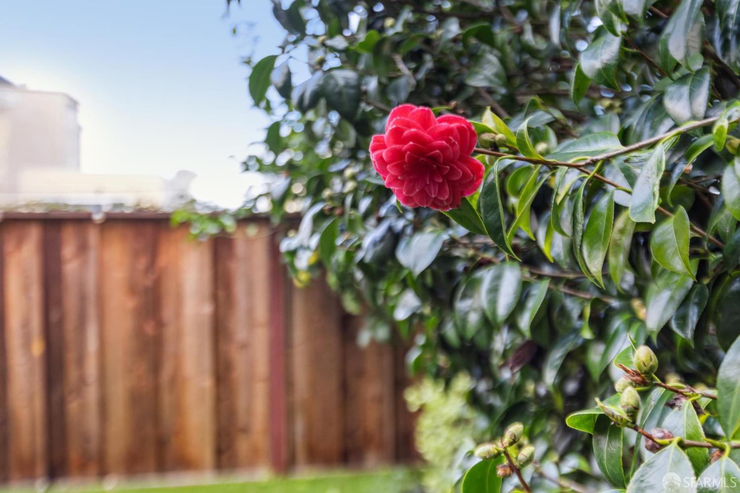 Detail Gallery Image 38 of 46 For 776 Green St, San Francisco,  CA 94133 - 3 Beds | 1 Baths