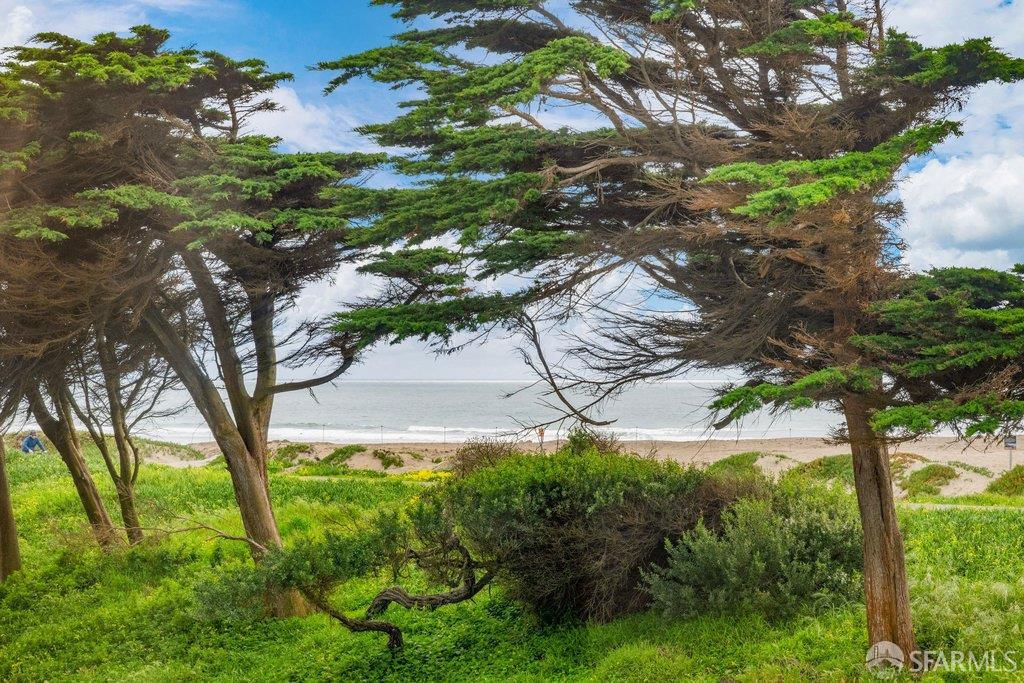 Detail Gallery Image 26 of 37 For 1738 Great Highway, San Francisco,  CA 94122 - 3 Beds | 1 Baths