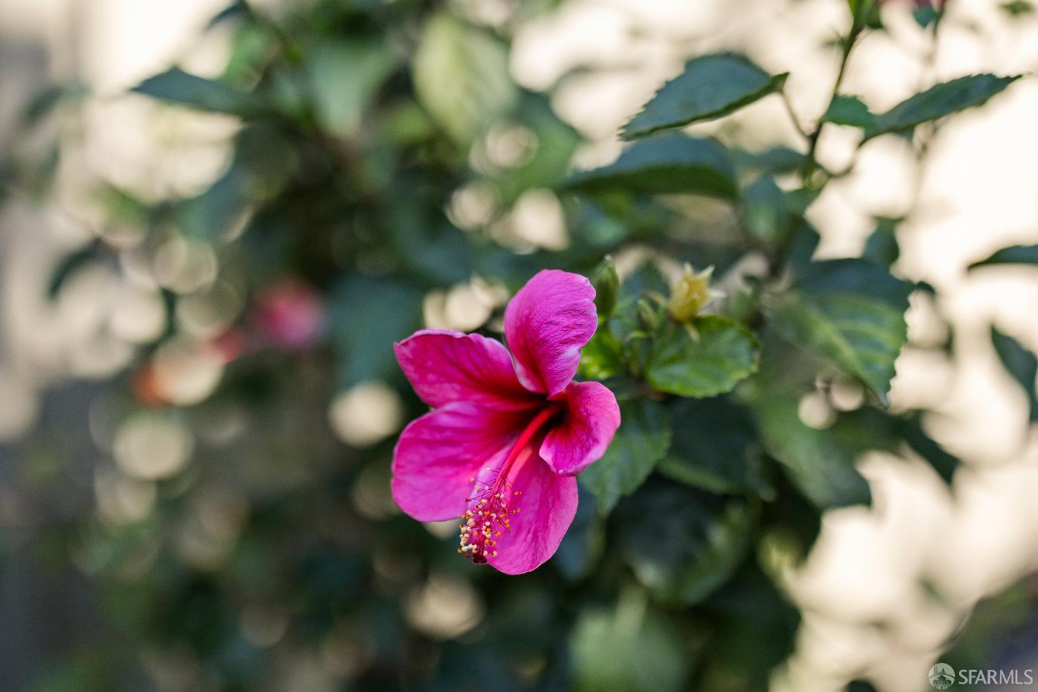 Detail Gallery Image 47 of 55 For 37 Los Altos Sqr, Los Altos,  CA 94022 - 2 Beds | 2/1 Baths