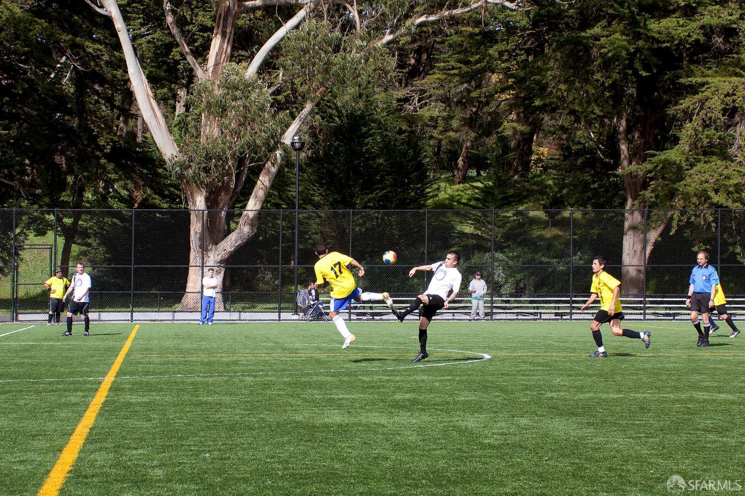 Detail Gallery Image 80 of 96 For 85 Concord St, San Francisco,  CA 94112 - 2 Beds | 1/1 Baths