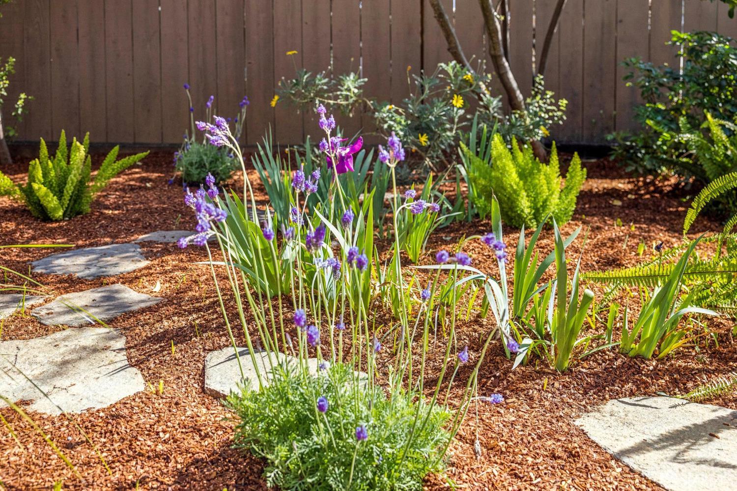 Detail Gallery Image 57 of 89 For 115 Ellsworth St, San Francisco,  CA 94110 - 3 Beds | 3 Baths