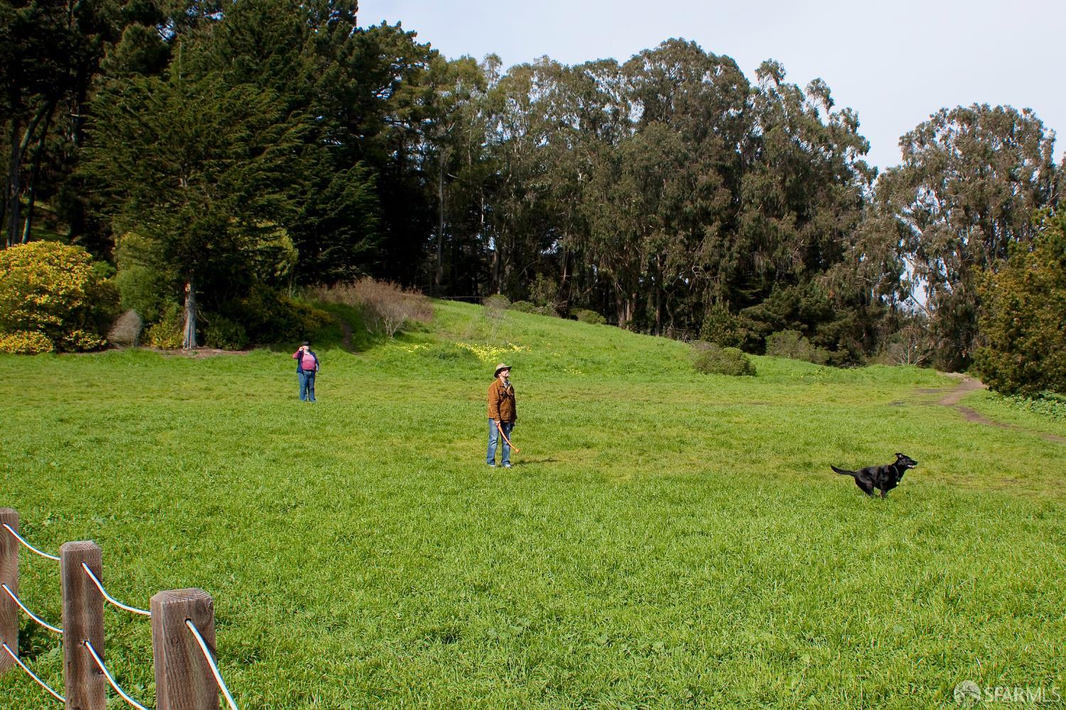 Detail Gallery Image 90 of 96 For 85 Concord St, San Francisco,  CA 94112 - 2 Beds | 1/1 Baths