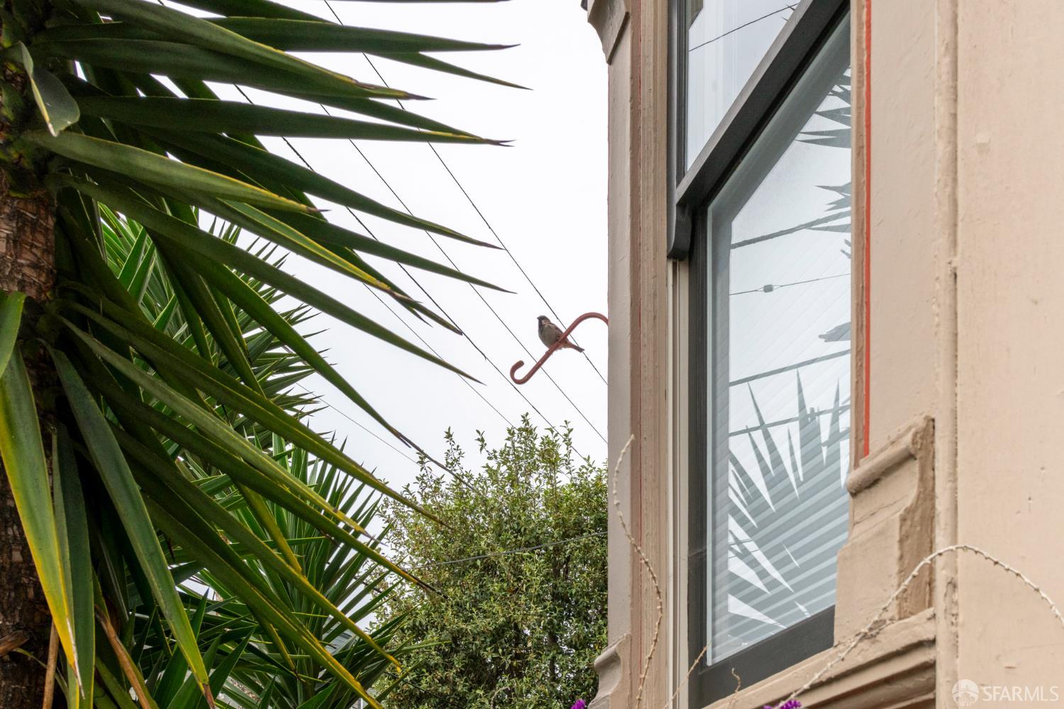 Photo #43: 426109389 Listing: Photo #43