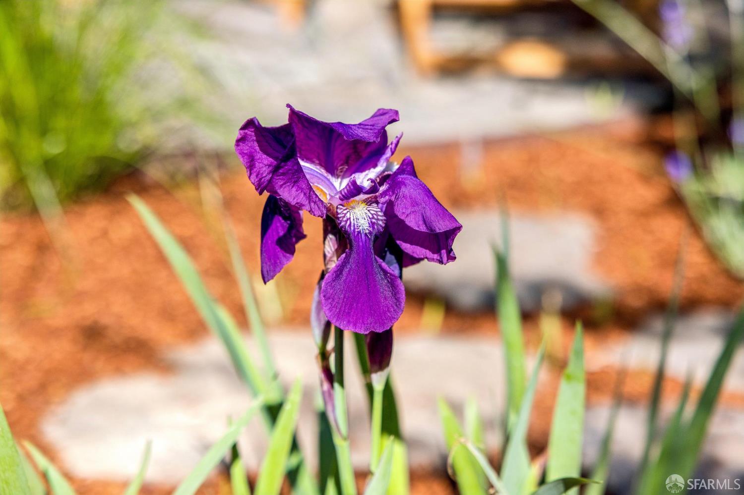 Detail Gallery Image 56 of 89 For 115 Ellsworth St, San Francisco,  CA 94110 - 3 Beds | 3 Baths