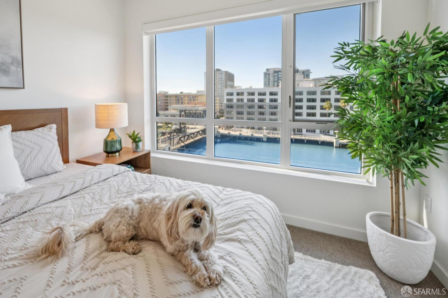 Photo #21: 426109528 Listing: Photo #21